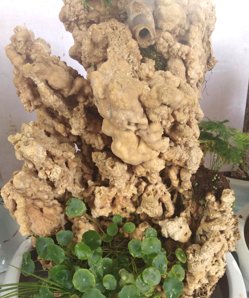 IMG_20190626_090201.jpg IMG_20190626_090201.jpg