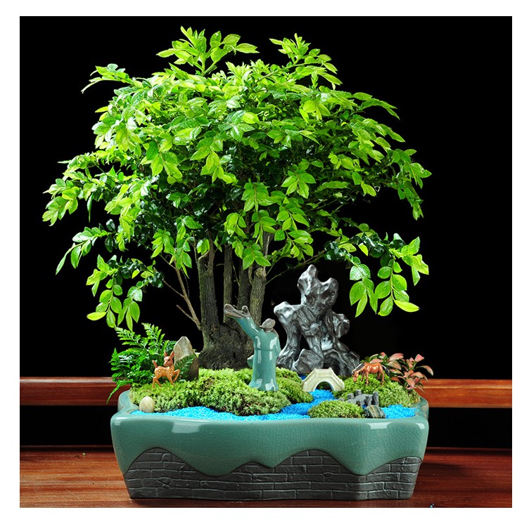 O1CN01yKftRX1cisCeyOKZ3_!!1953993635.jpg O1CN01yKftRX1cisCeyOKZ3_!!1953993635.jpg